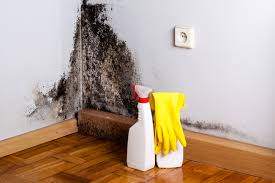 Clarence Center, NY Mold Prevention & Removal  Company